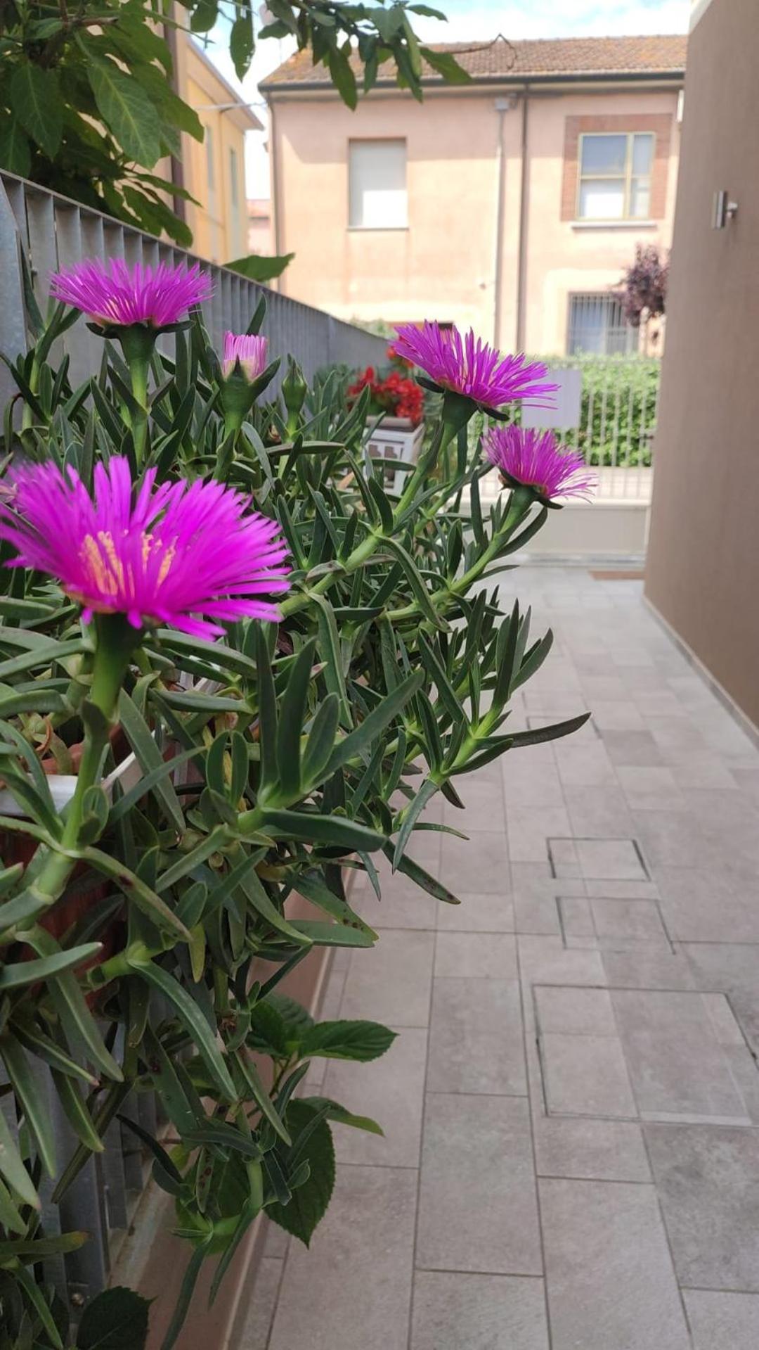 Darsena B&B Tra Arte E Mare Ravenna Dış mekan fotoğraf